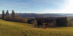 Scene of a lush green lower alpine grass slope with coniferous forest in the background and the faint peaks of the lower alps in the distance.